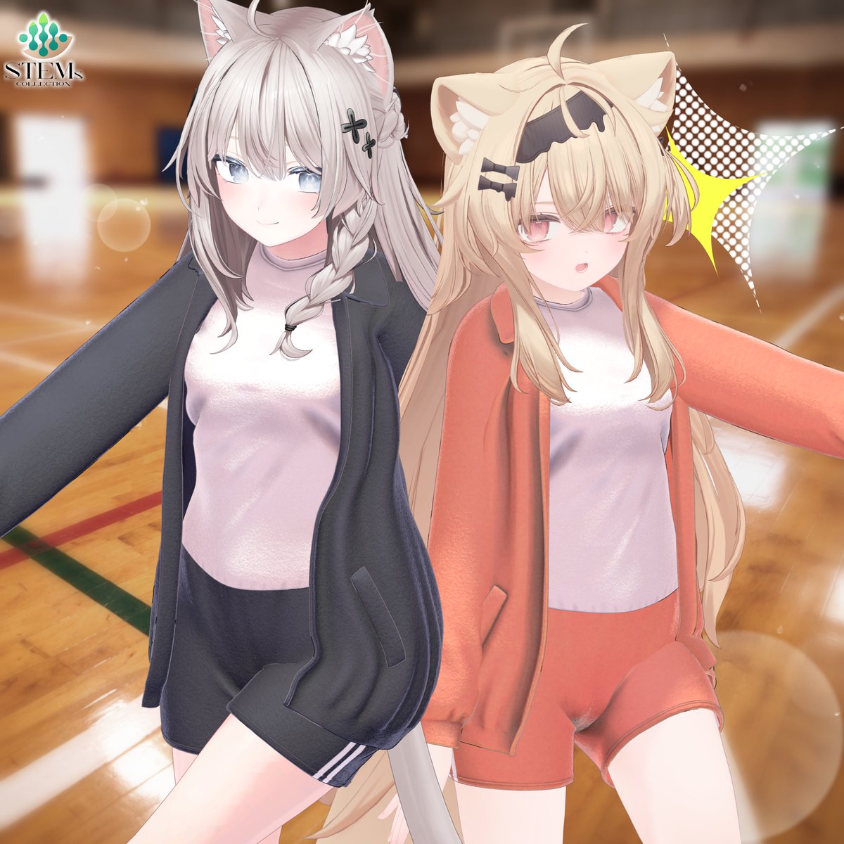 STEMs.COLLECTION tweet media