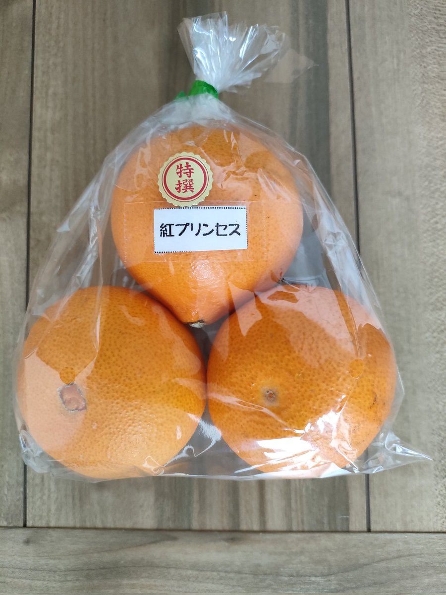 🍊食べ比べ🍊

最高峰- ̗̀👑𓈒𓂂𓏸