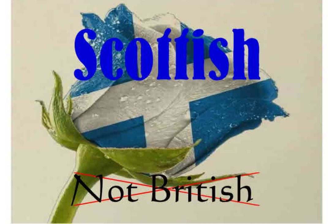 Fife_For_Life tweet media