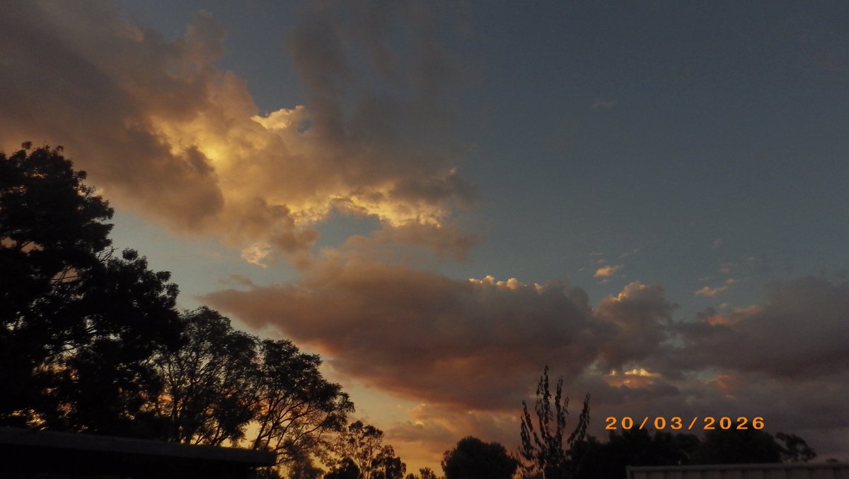 David FarleyBrain 🍄🔭Keep Alaska Canadian!! tweet media