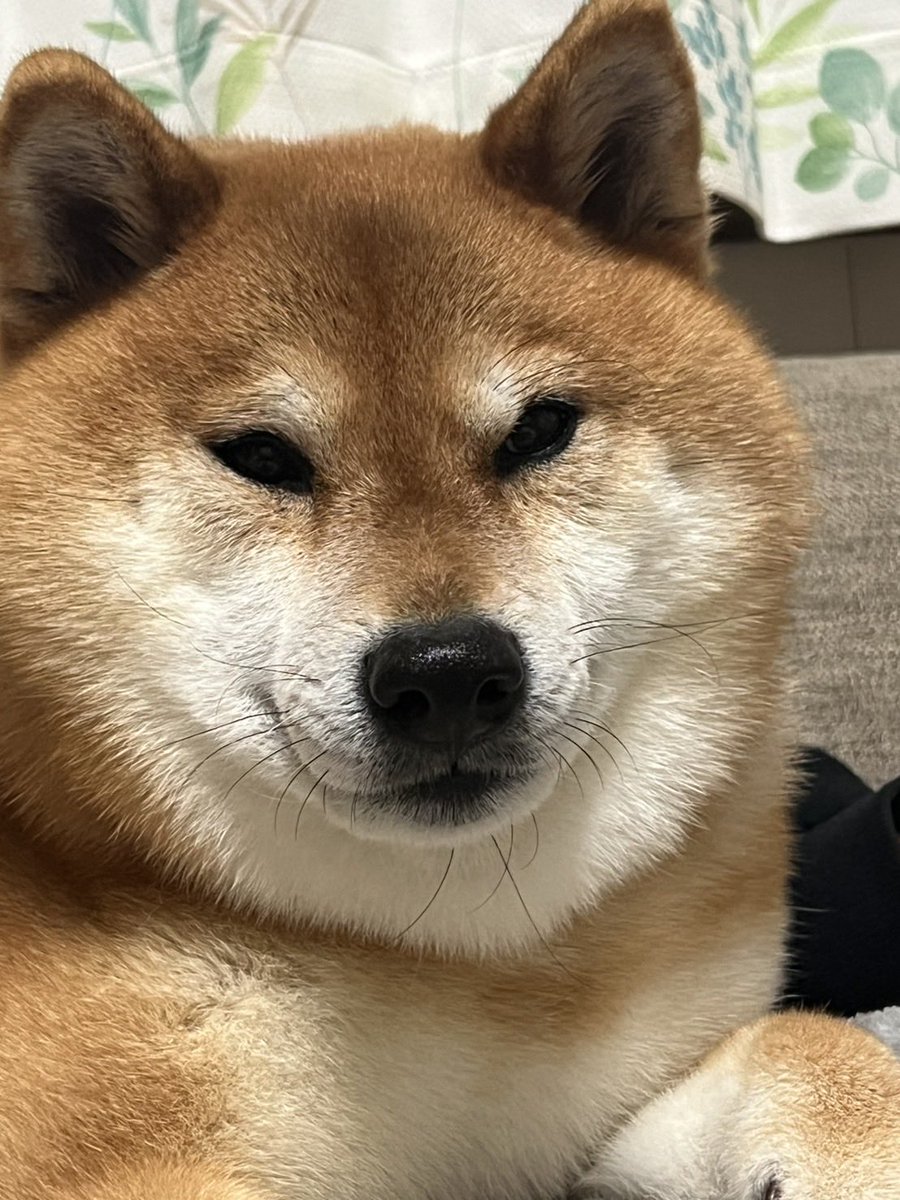 tora&senjiro tweet media