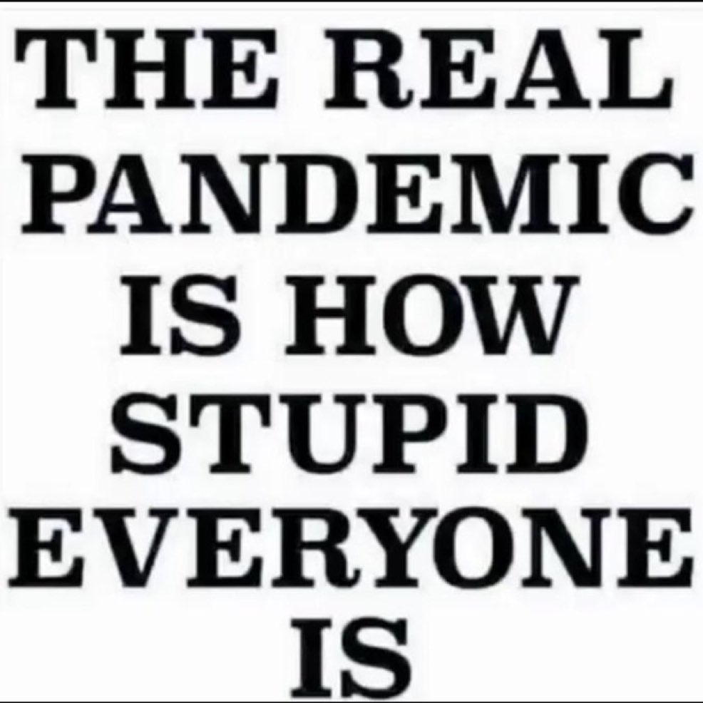 PHOENIX 🇺🇸 tweet media