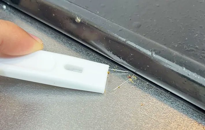 grapeライフハック編集部 tweet media