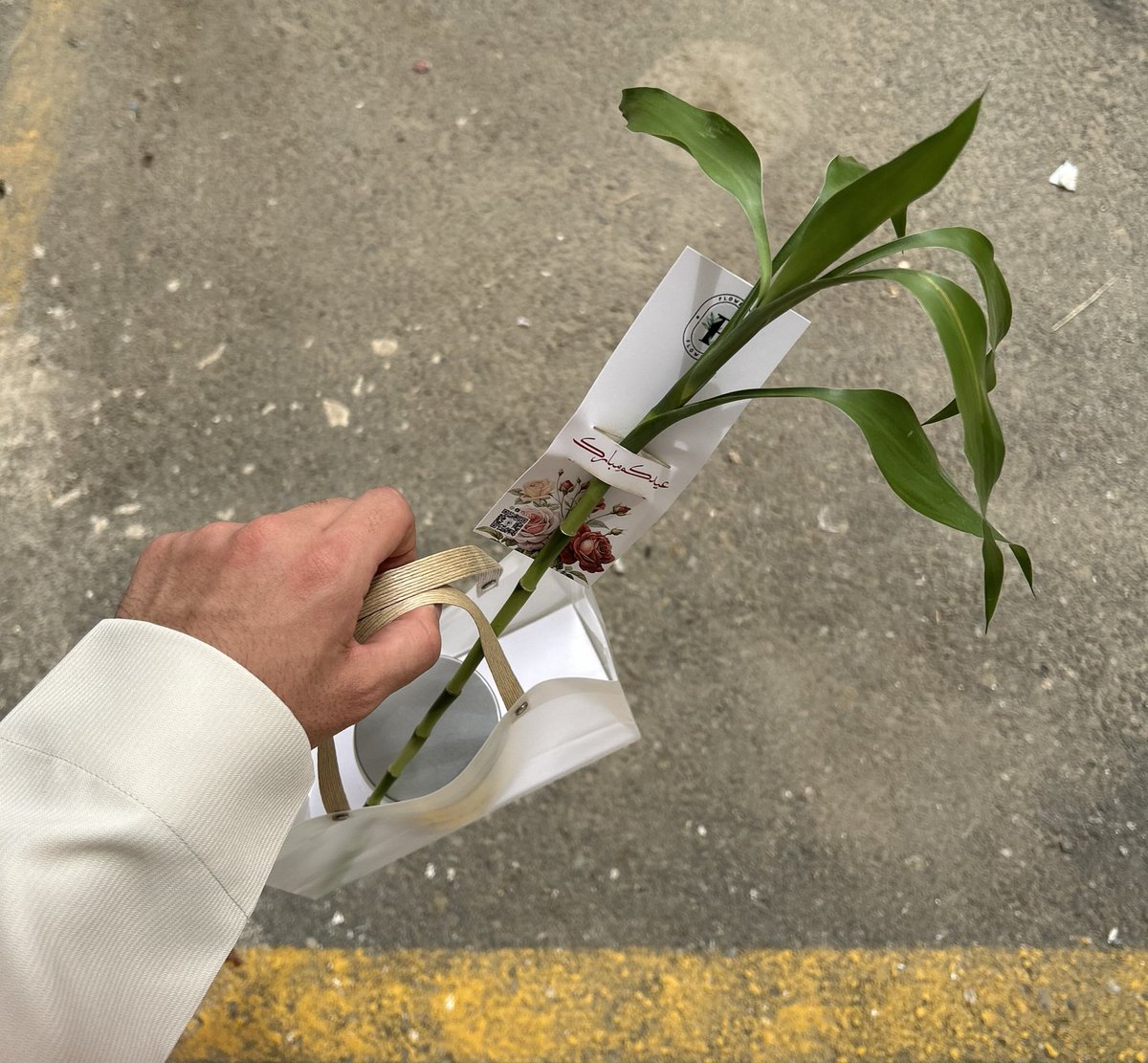 نـواف tweet media