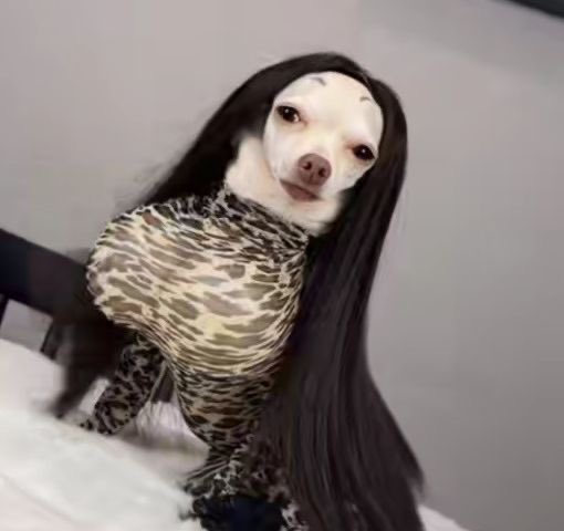 Aya🇴🇲 tweet media