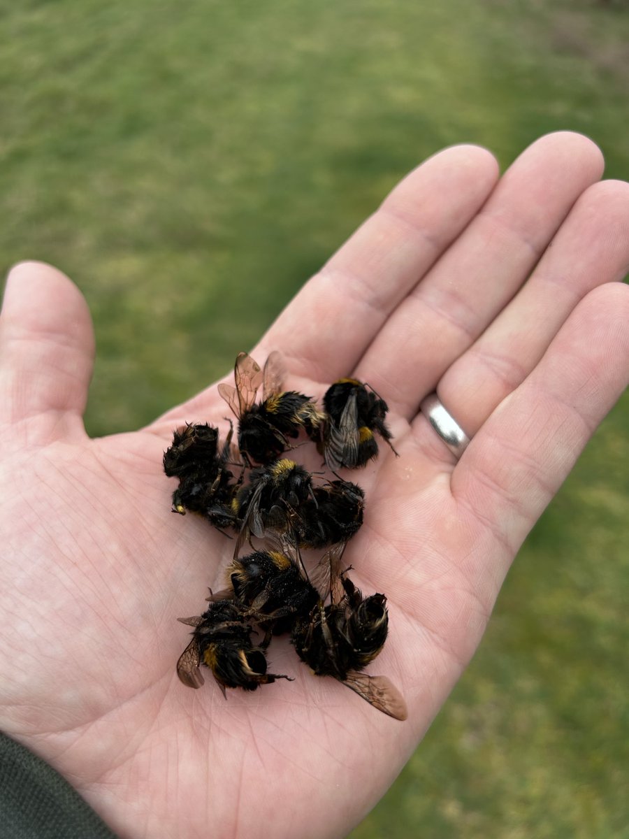 🌱Hello, I'm Mark tweet media