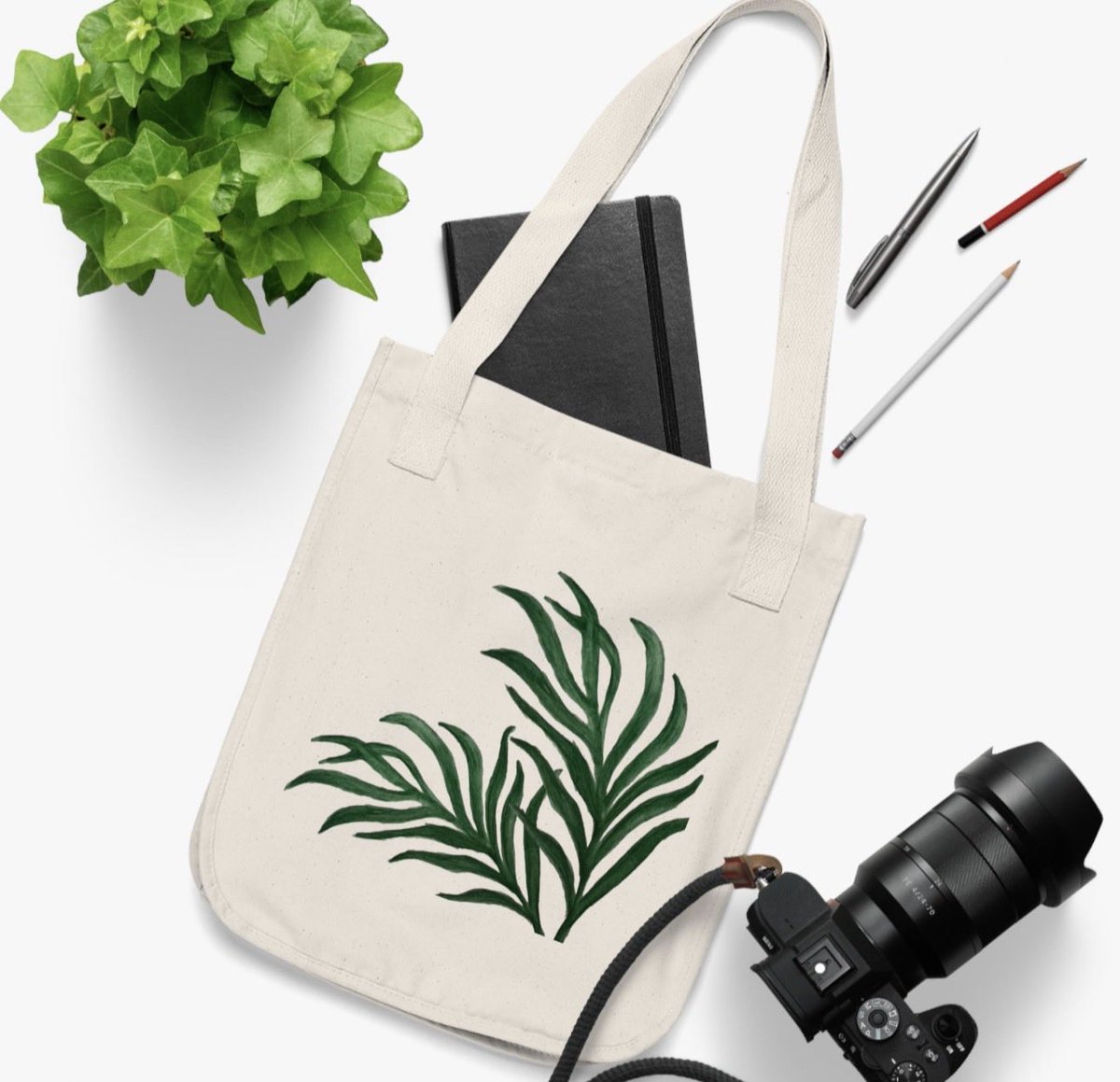 Welsh & Wild tweet media