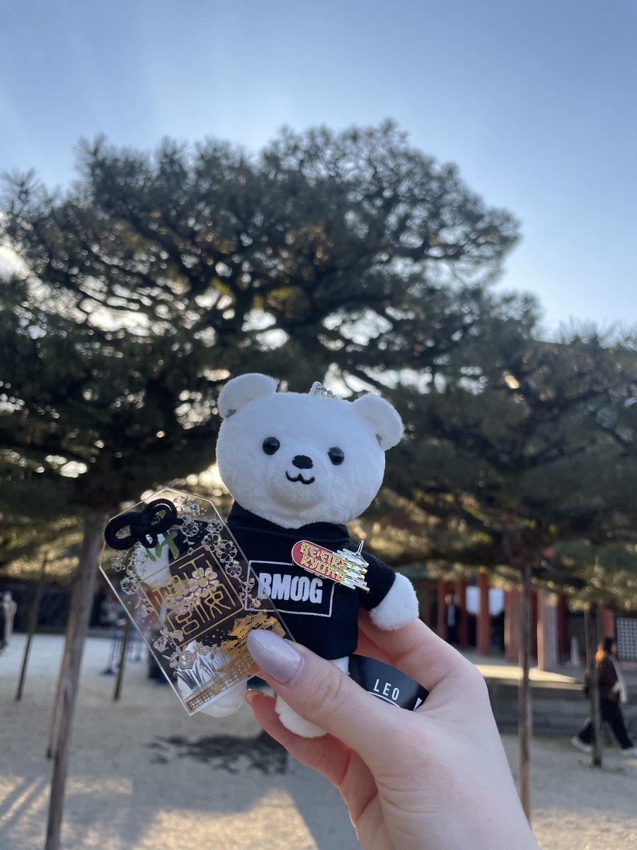 上村さん🦁🐬 tweet media