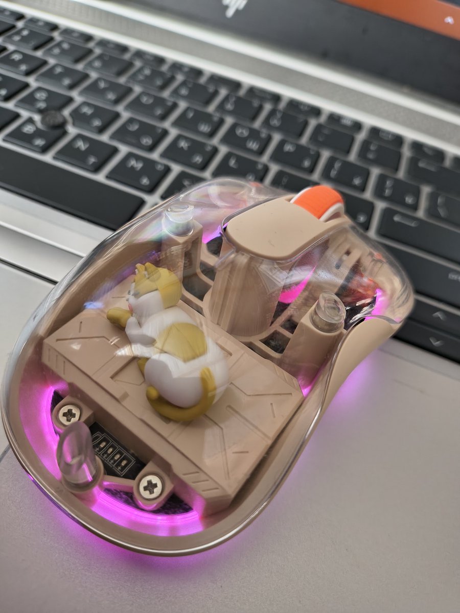 Рыжая 3,14сечка tweet media