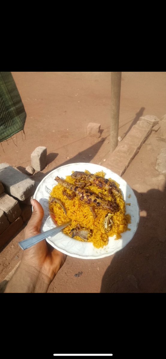 special 🥰🌺 tweet media