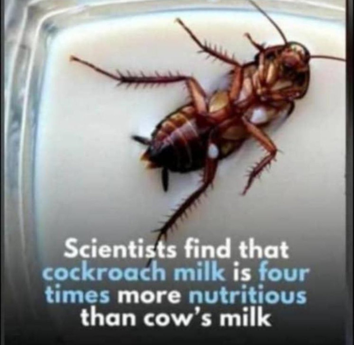 Emmy🎀° tweet media