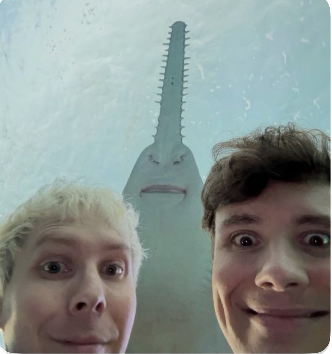 Ash Draws tweet media