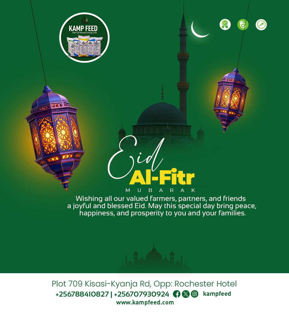 Kampfeed's tweet image. Eid Mubarak from Kamp Feed! 
Wishing our farmers, partners, and friends joy, peace, and prosperity this Eid al-Fitr.
 #eidmubarak  #farmingcommunity #kampfeed