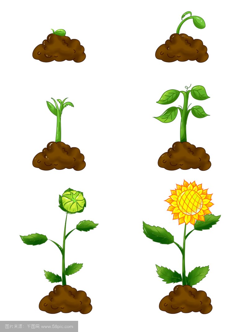 tom mccartney tweet media