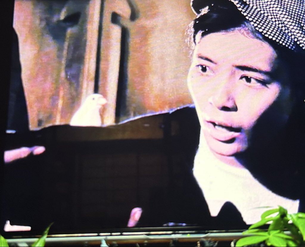 桜井浩子 tweet media