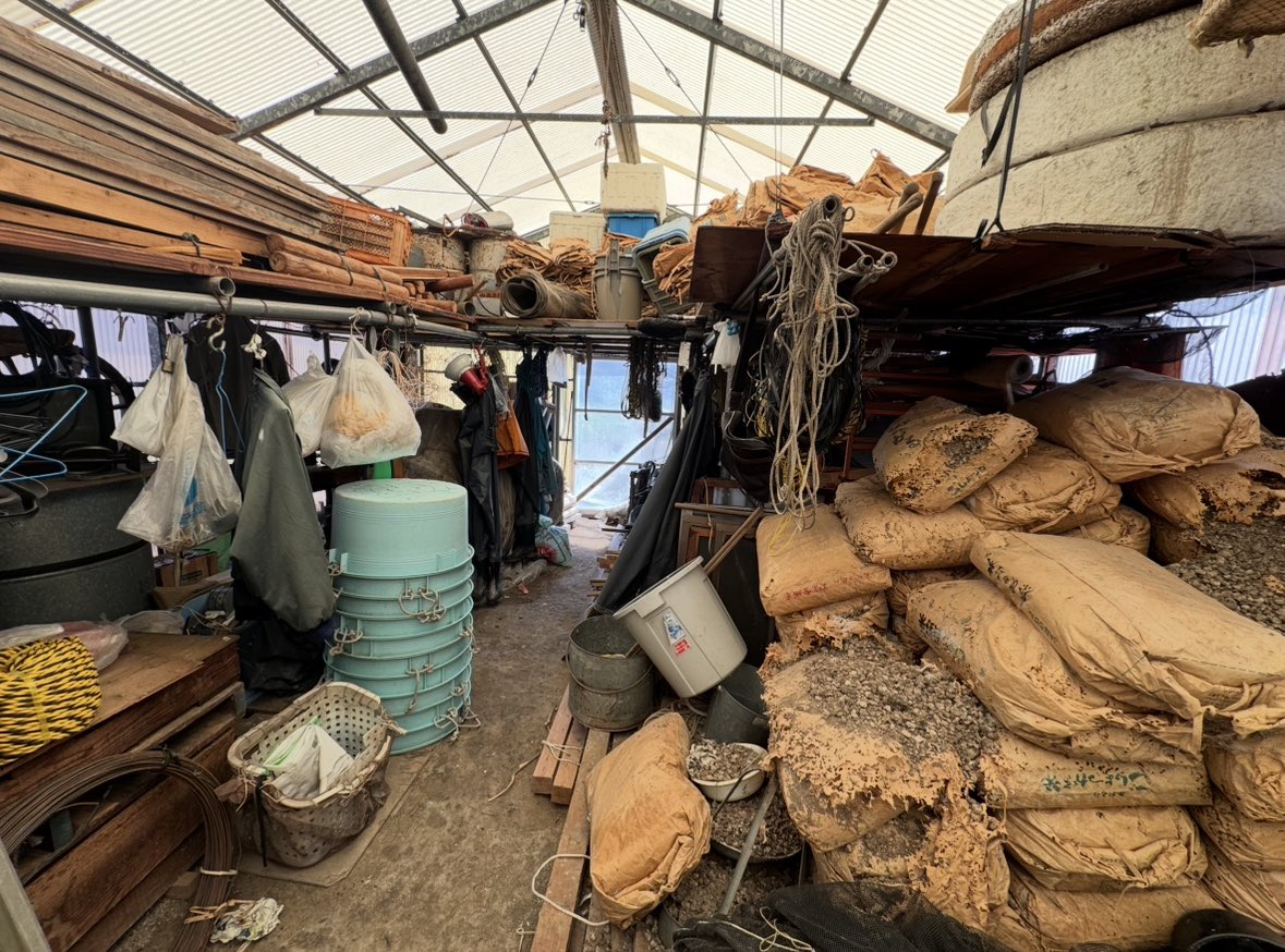 kaorububu tweet media