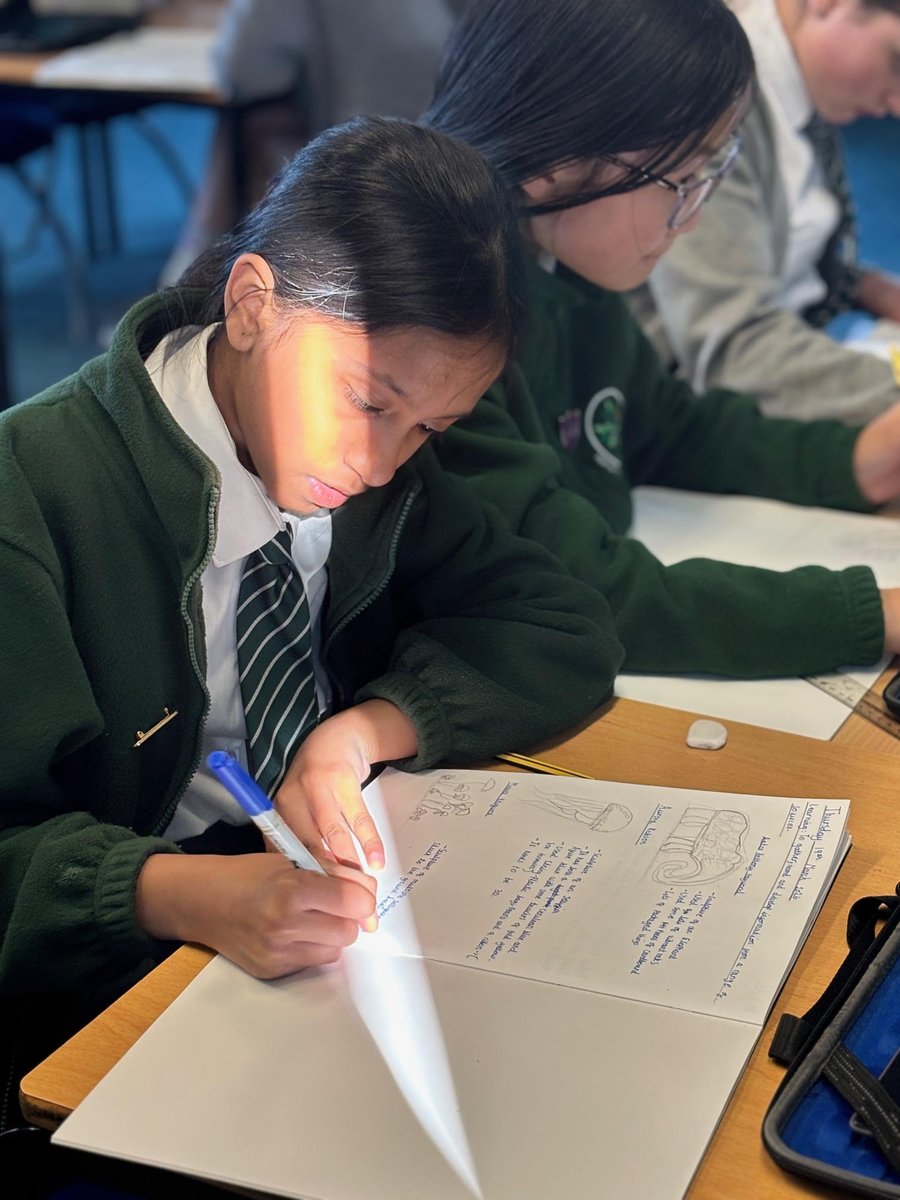 Manor Park Primary Academy tweet media