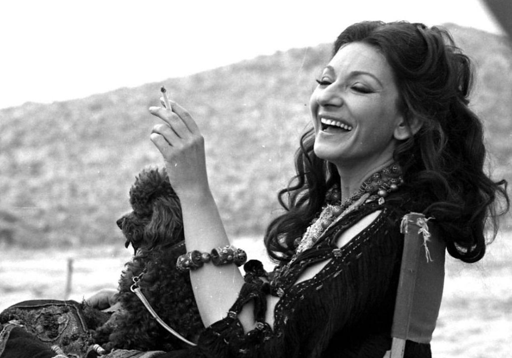 Maudite Part tweet media