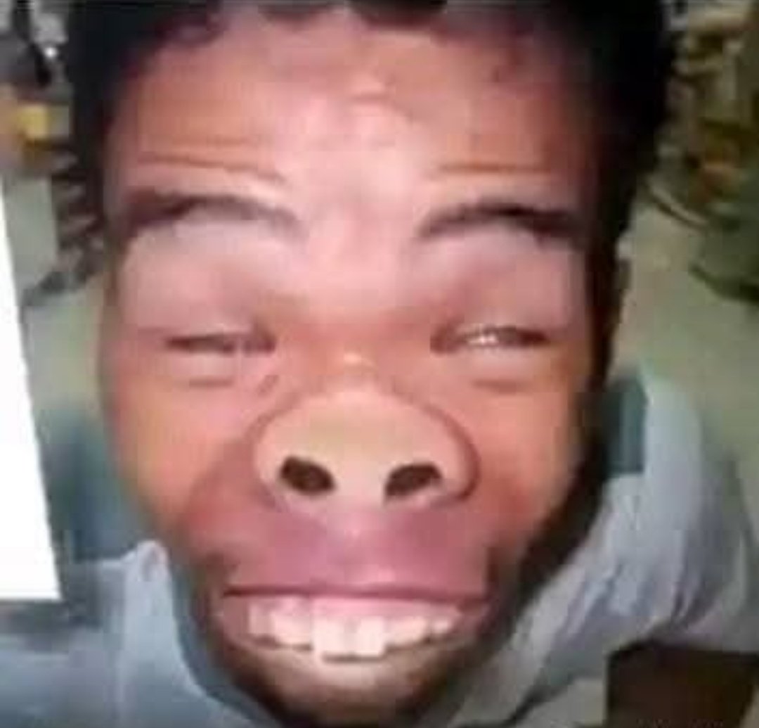 gopuu_kmrr tweet media