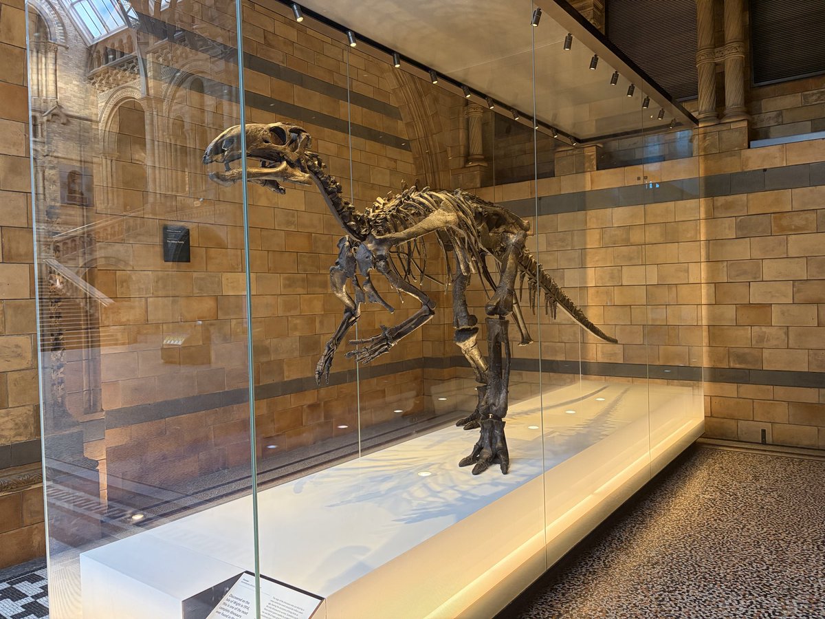 Bernard Donoghue tweet media