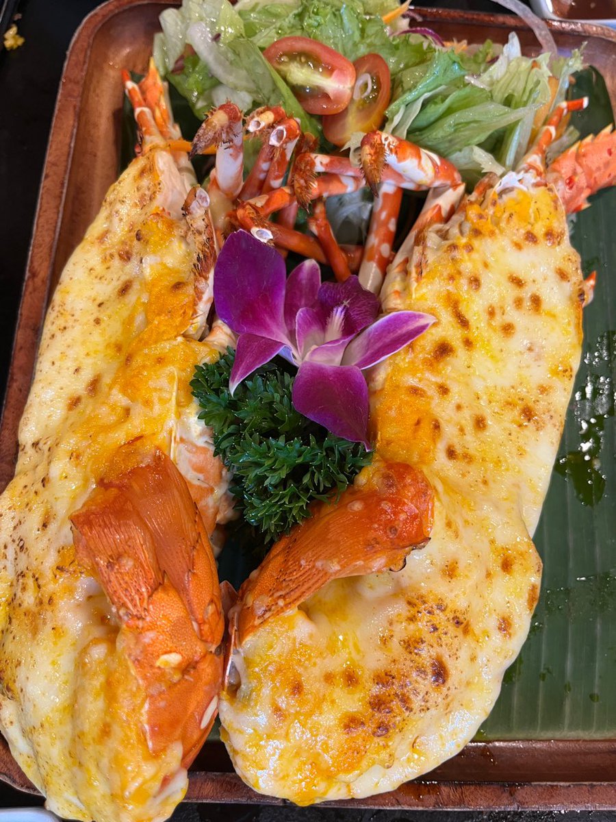 캣츠파파 tweet media