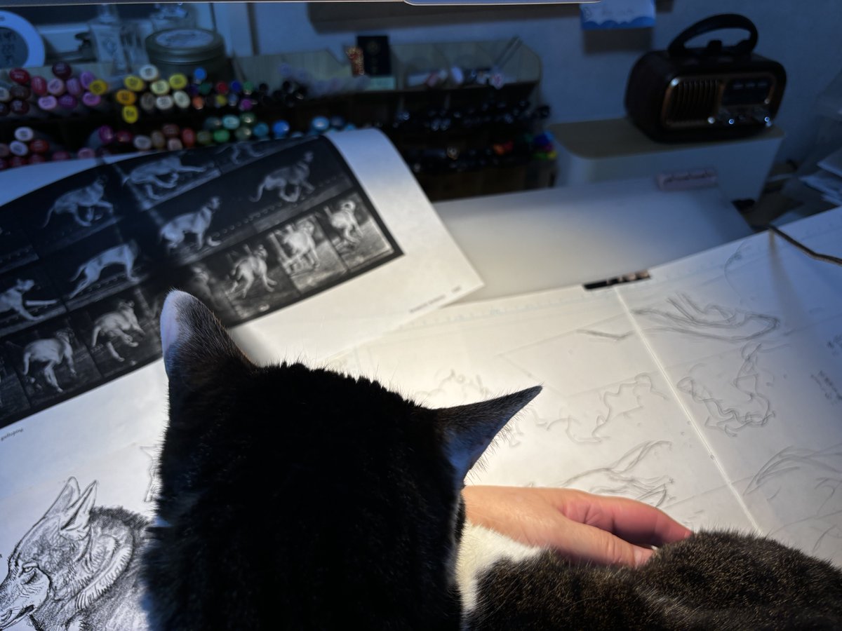 篠原千絵 tweet media