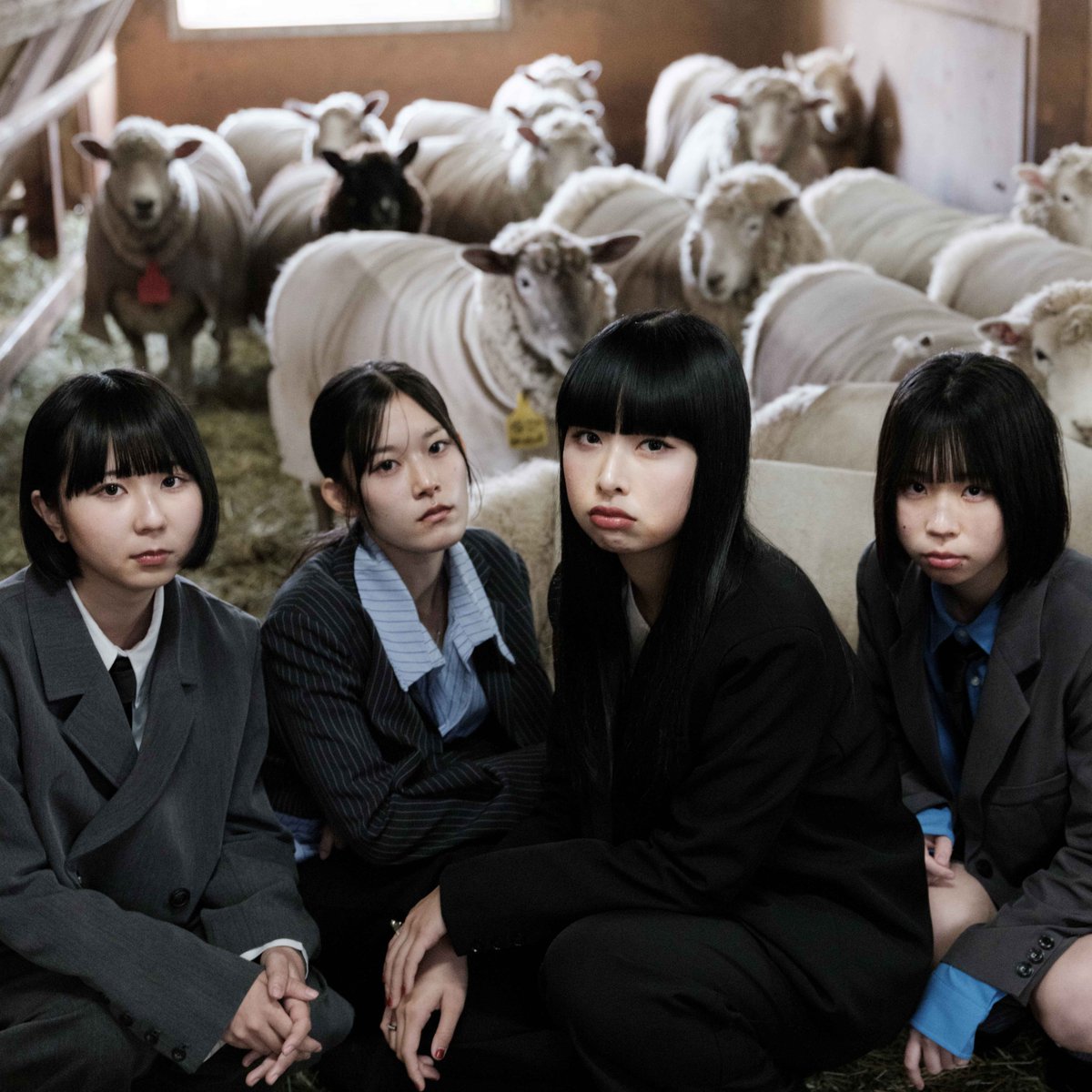 RADIO DRAGON-NEXT- tweet media