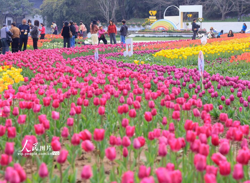 人民日報  People's Daily tweet media