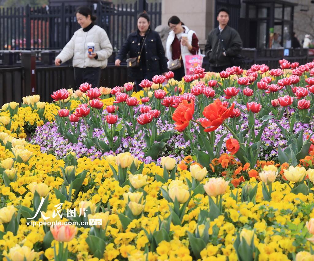 人民日報  People's Daily tweet media