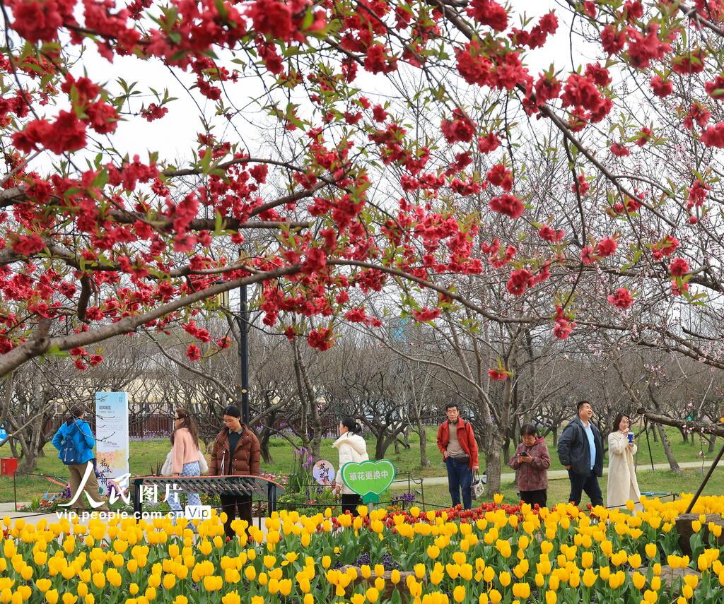 人民日報  People's Daily tweet media