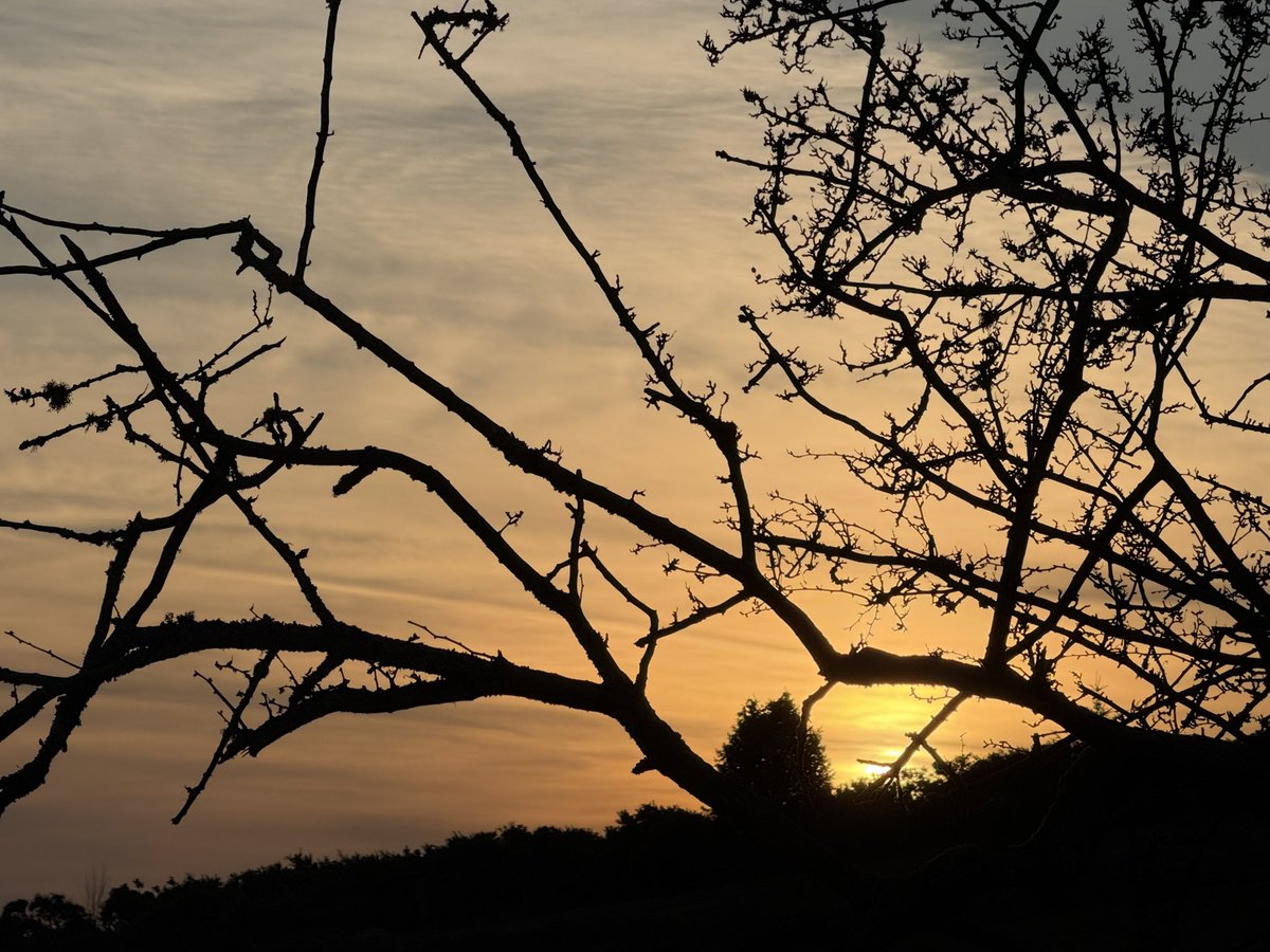 SavetheHellfire tweet media