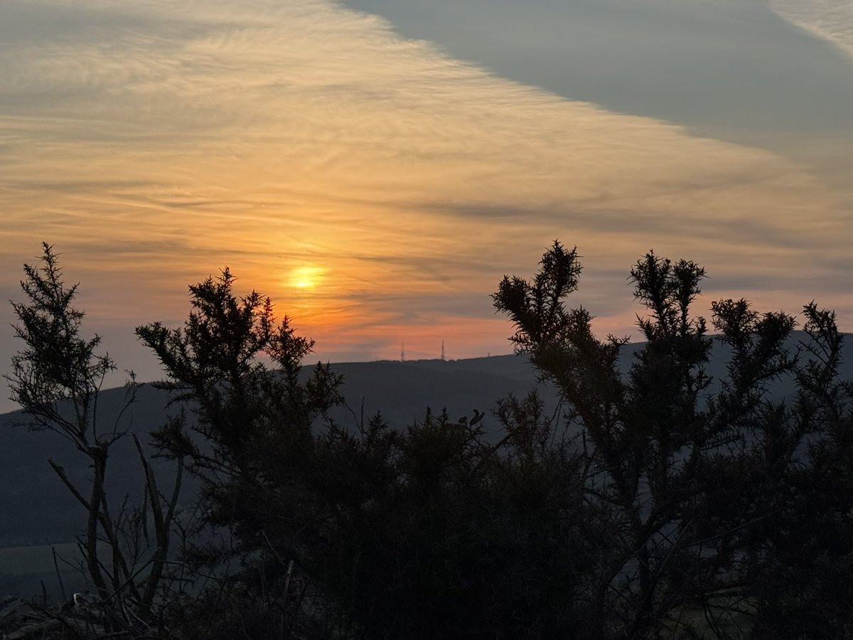 SavetheHellfire tweet media