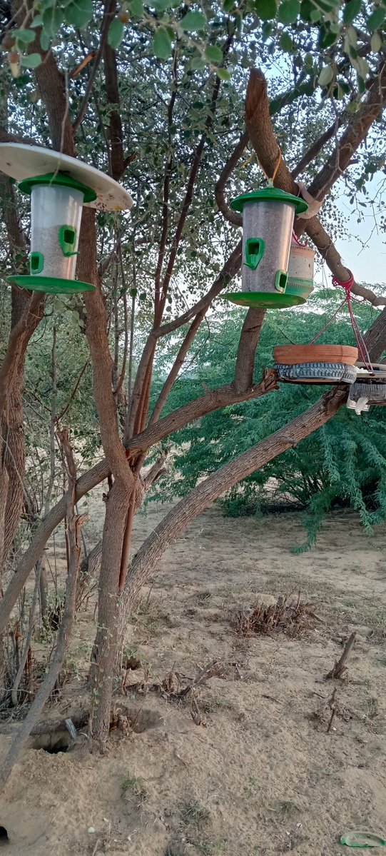 भाजपा मेरी जिंदगी tweet media