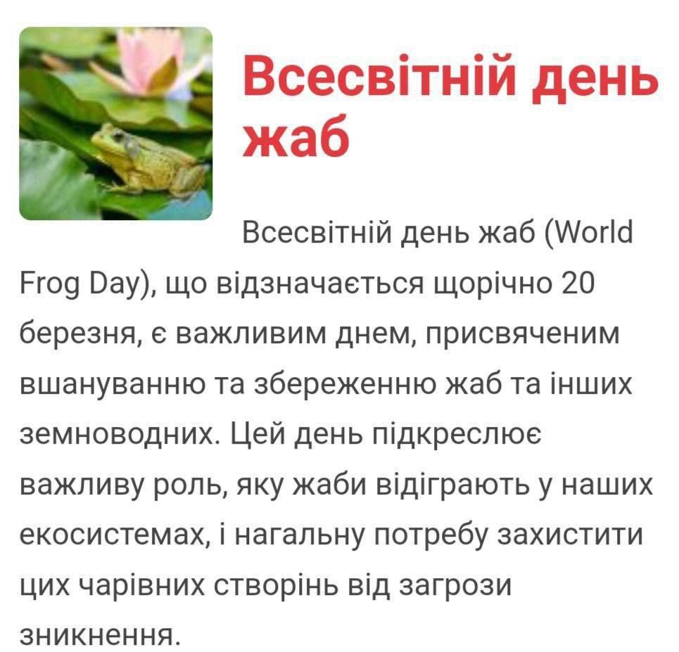 оксамит жабʼячий tweet media