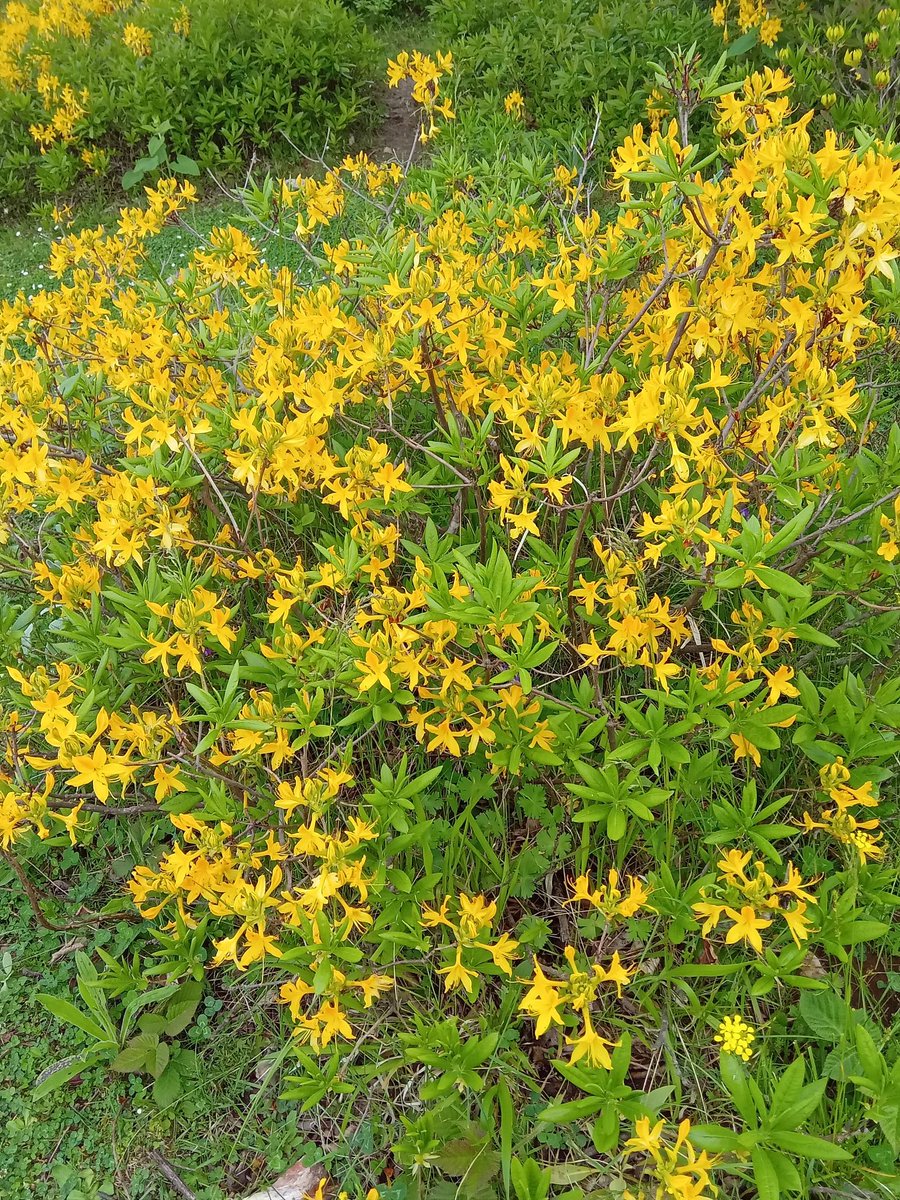 Tüm yaşamınız rengarenk geçsin.İyi bayramlar dostlar.