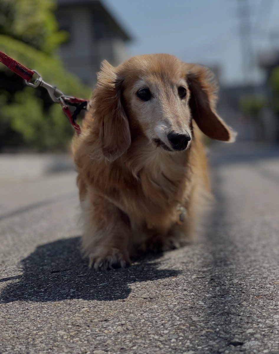 真希ナルセ(マキ) tweet media