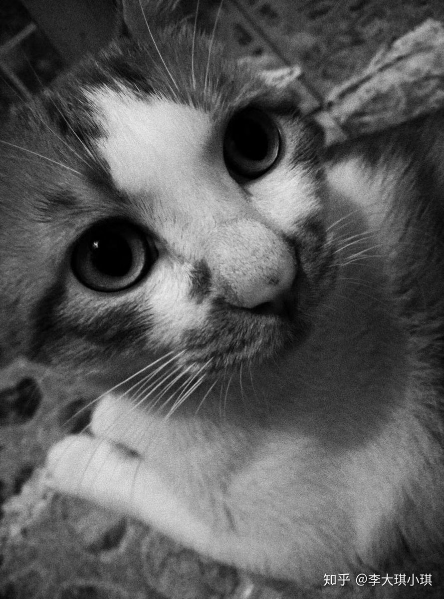 PinLink | Official Announcements tweet media