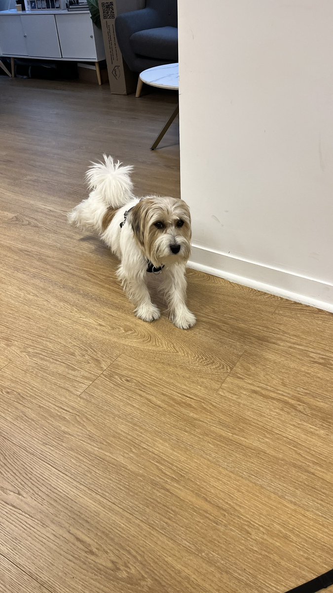 Satvik Puti tweet media