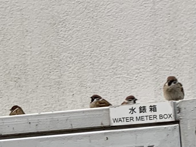 老司機 tweet media