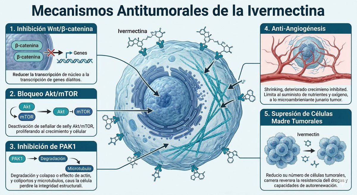 Dra. Natalia Prego Cancelo MD tweet media