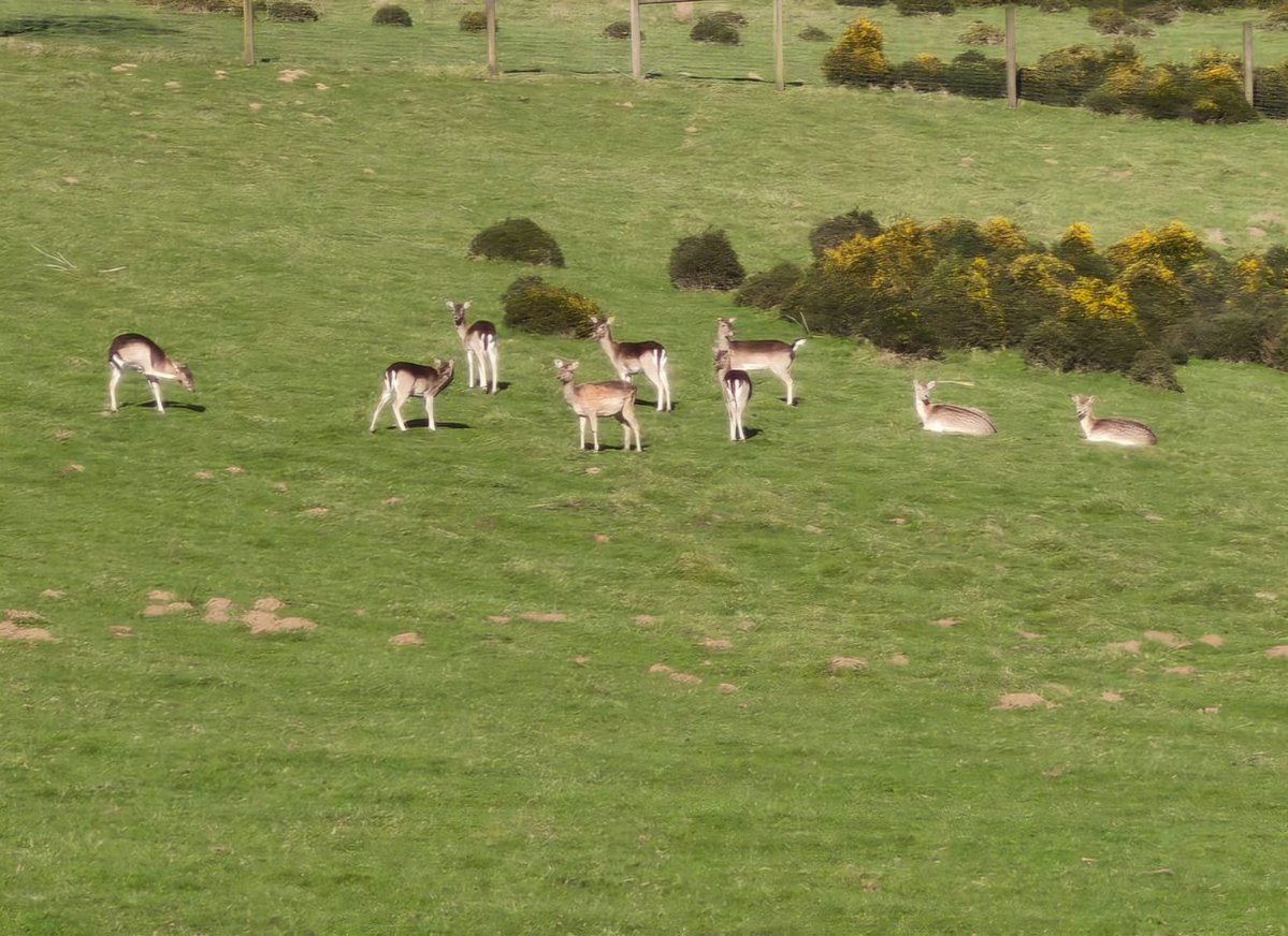 Préfet des Côtes-d'Armor tweet media
