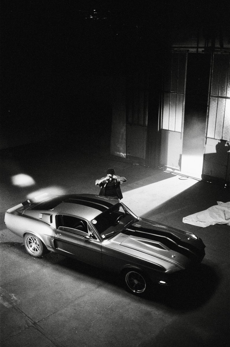 JoPlodocus 🦕🌐 tweet media