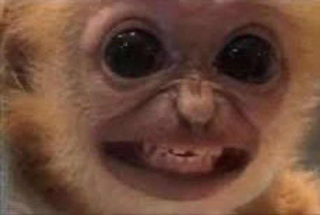 𝘉𝘢𝘥𝘦𝘳 tweet media