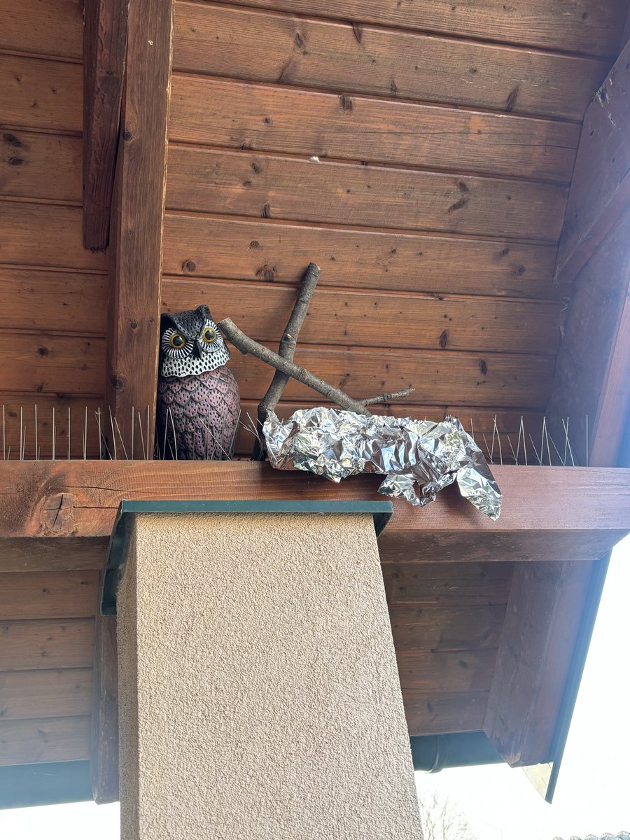 Neue Balkondeko 🙄