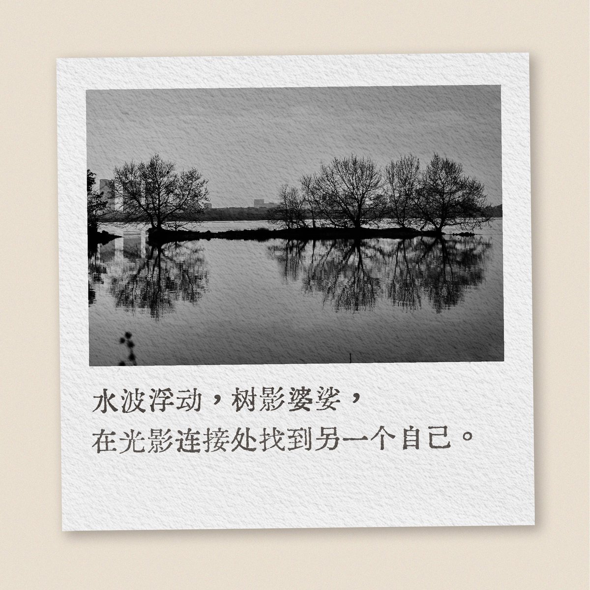 เจ้าหญิงวุ่นวาย tweet media