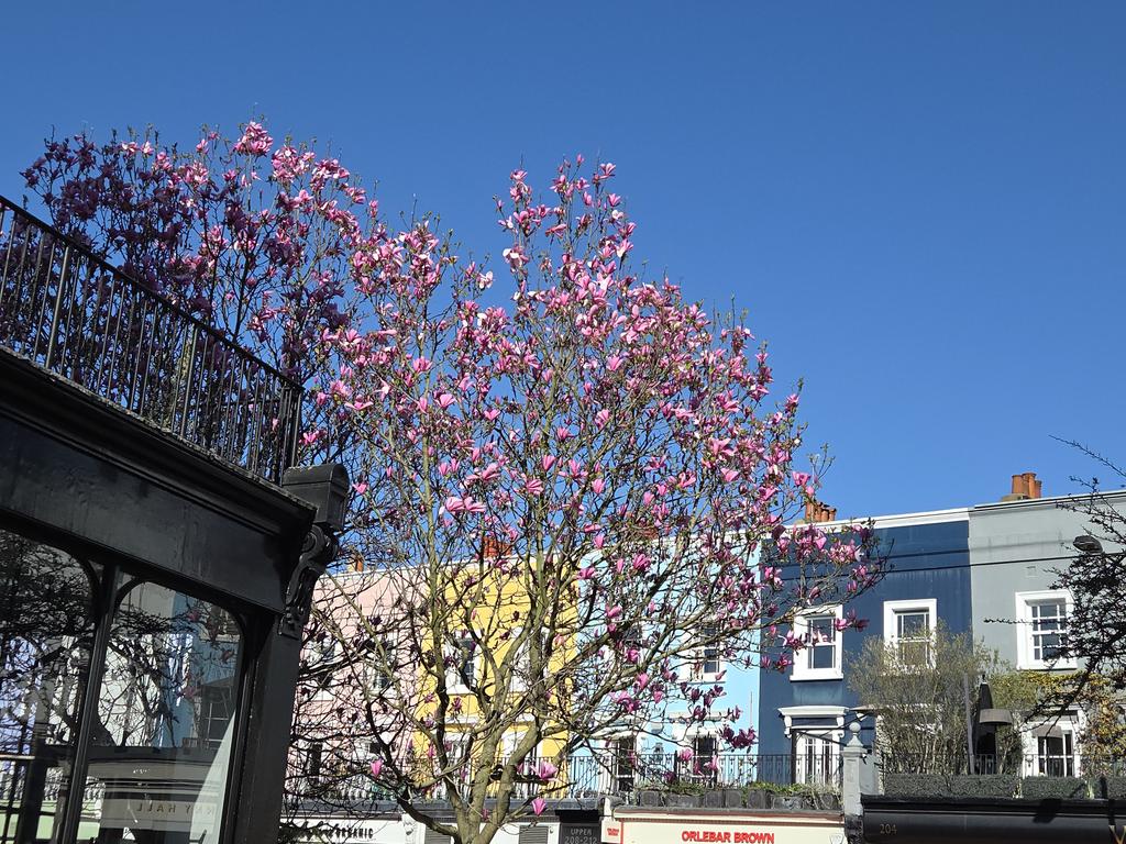 Sof McVeigh tweet media