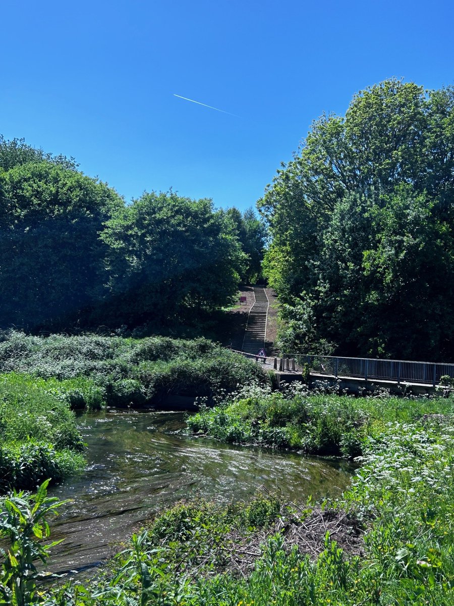 RochdaleCouncil's tweet image. It's officially the first day of spring ☀️ 🐰 
Discover over 552 km of public rights of way - one of Greater Manchester's largest networks using our map to find new places you may not have explored.

Find your route: rochdale.gov.uk/environment-pe…

#spring #springwalks #onyourdoorstep