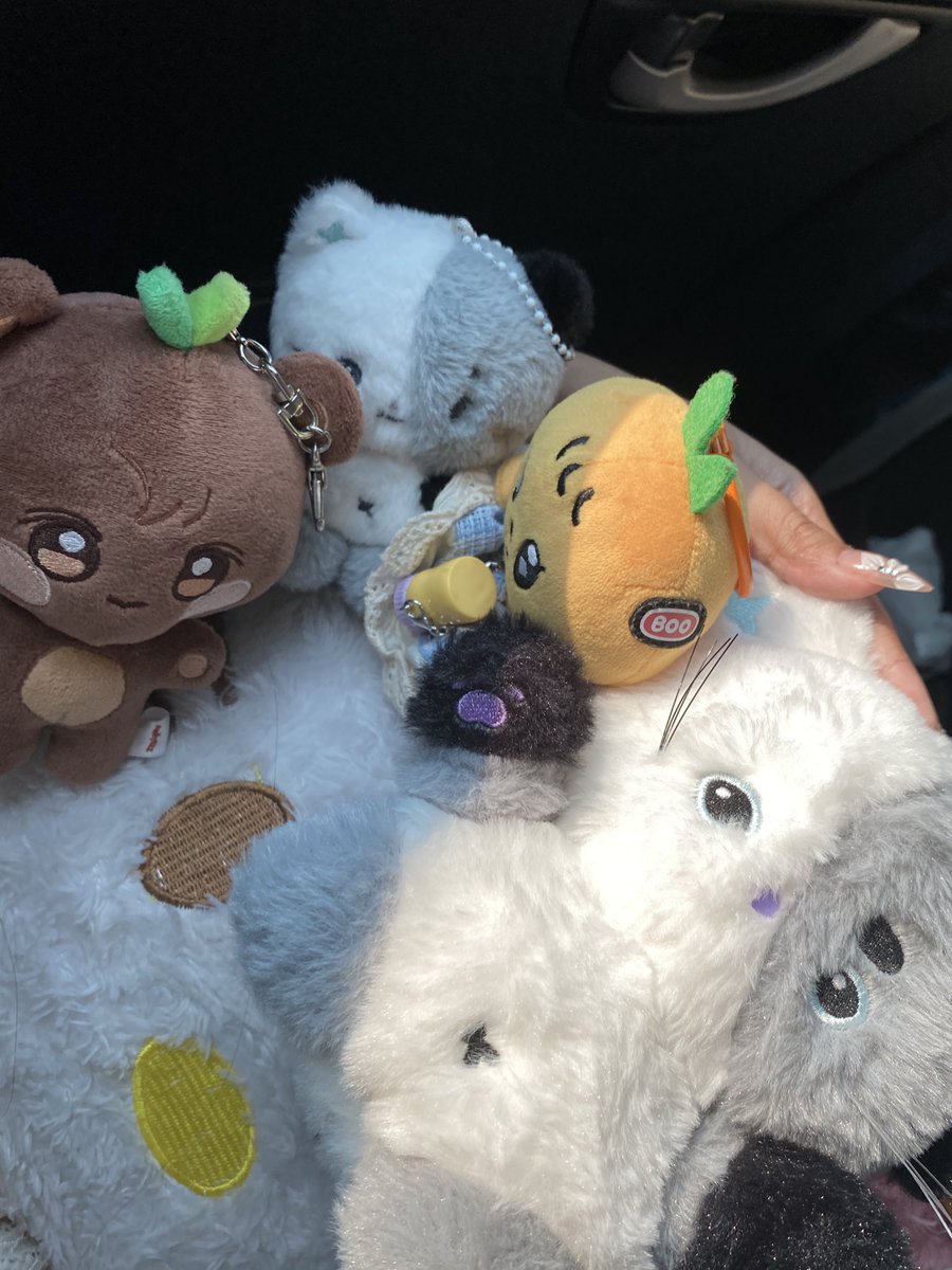 flo🌸🦋 tweet media