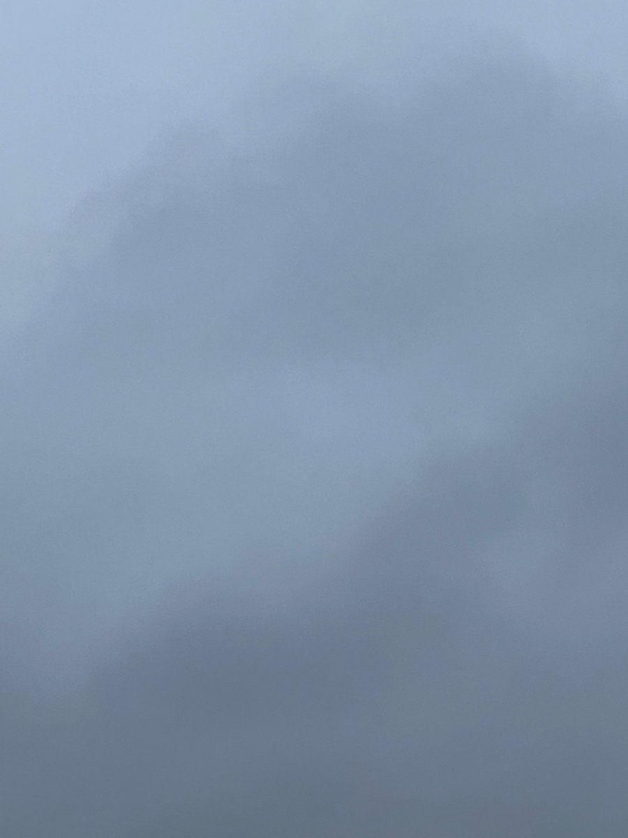 こだま和文 tweet media