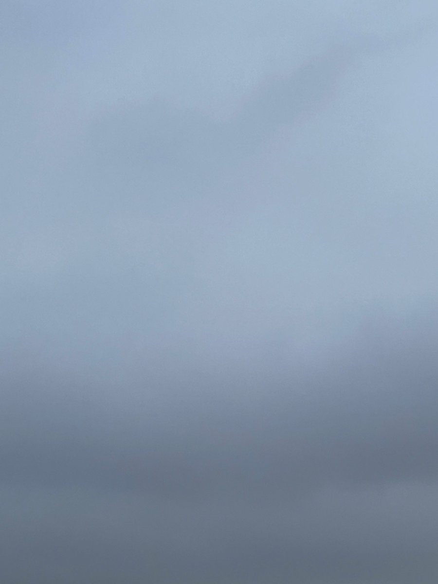 こだま和文 tweet media